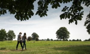 Two people walking in a park